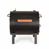 Char-Griller Grills 2-in-1 250-sq in Black Portable Charcoal Grill