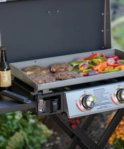 Blue Rhino Grills Razor Griddle Black and Silver/Powder Coated 2-Burner Liquid Propane Gas Grill -Mmaster Outlet Shop 11908467 scaled