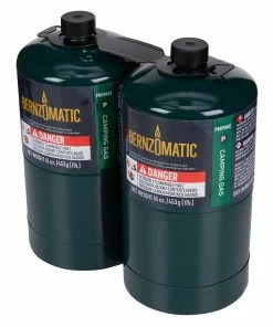 Worthington Cylinders Grilling Fuels 2-Pack Steel Propane Tank -Mmaster Outlet Shop 18303022