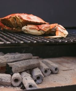 Prime 6 Grilling Fuels Premium sustainable reusable charcoal 9-lb Charcoal Briquettes 29 Prime 6 Grilling Fuels Premium sustainable reusable charcoal 9-lb Charcoal Briquettes -Mmaster Outlet Shop 40791405 scaled