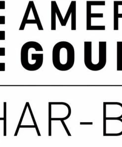 American Gourmet Grills Black 2-Burner Liquid Propane Gas Grill 17 American Gourmet Grills Black 2-Burner Liquid Propane Gas Grill -Mmaster Outlet Shop 42462845