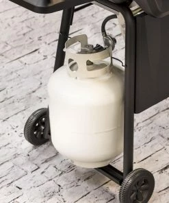 American Gourmet Grills Black 2-Burner Liquid Propane Gas Grill 14 American Gourmet Grills Black 2-Burner Liquid Propane Gas Grill -Mmaster Outlet Shop 42619324