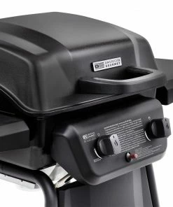 American Gourmet Grills Black 2-Burner Liquid Propane Gas Grill 12 American Gourmet Grills Black 2-Burner Liquid Propane Gas Grill -Mmaster Outlet Shop 42619332