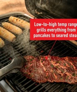 Weber Grills Traveler Portable Gas Grill 34 Weber Grills Traveler Portable Gas Grill -Mmaster Outlet Shop 42720721