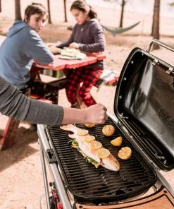 Weber Grills Traveler Portable Gas Grill 29 Weber Grills Traveler Portable Gas Grill -Mmaster Outlet Shop 42720727 scaled