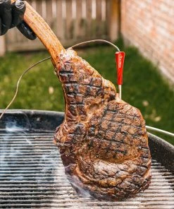 GrillEye Grill Replacement Parts Iris Oval Grill Thermometer -Mmaster Outlet Shop 44565665 scaled